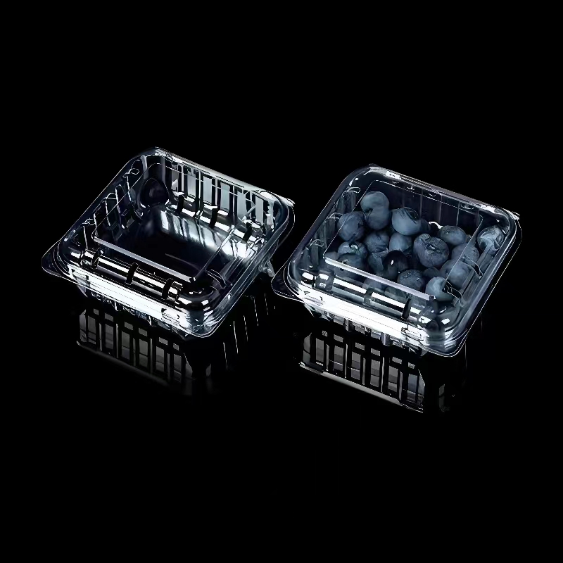 Custom vacuum formed transparent plastic fruit packing boxes & trays
